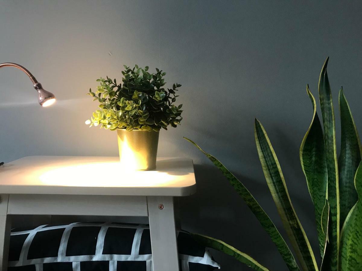 Apartament Centrum Zielona Góra Buitenkant foto